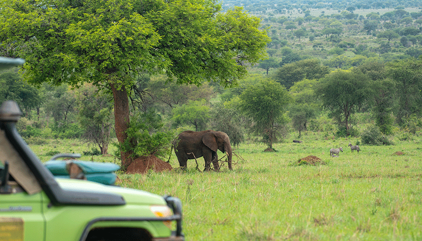 18-days-uganda-rwanda-kenya